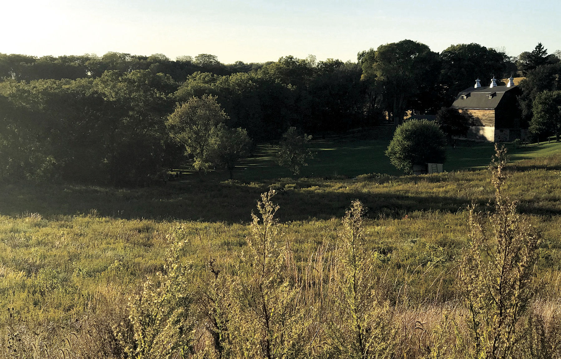 Lyons Township Peacefulness